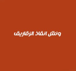 ونش انقاذ الزقازيق