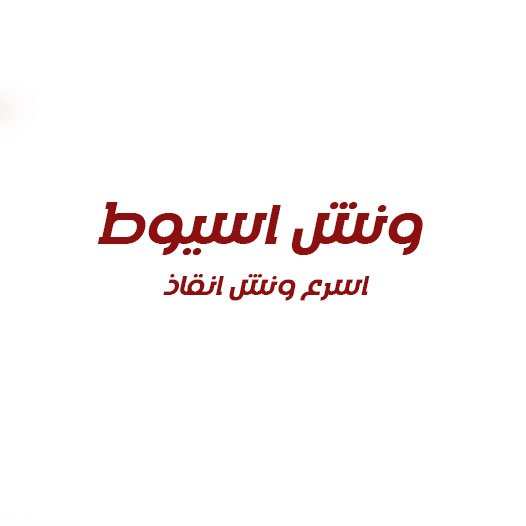 ونش انقاذ اسيوط